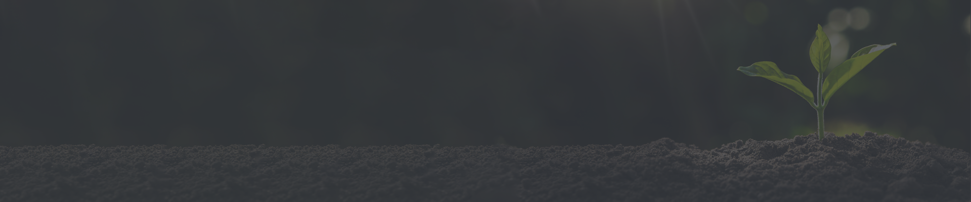 Image for Baner stopka