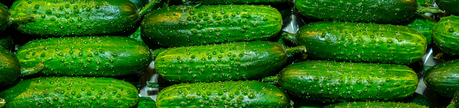 Image for cucumber