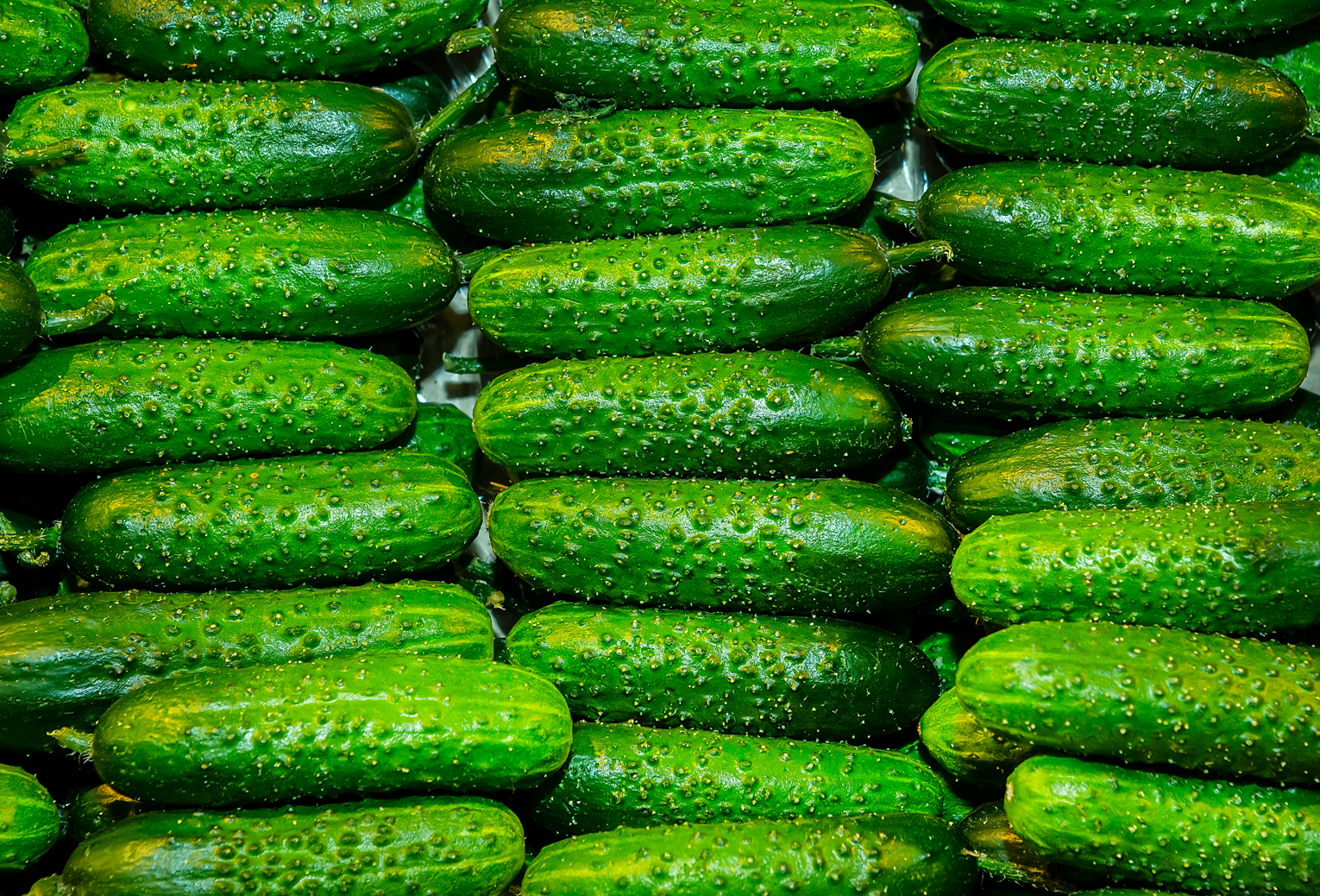 Image for cucumber