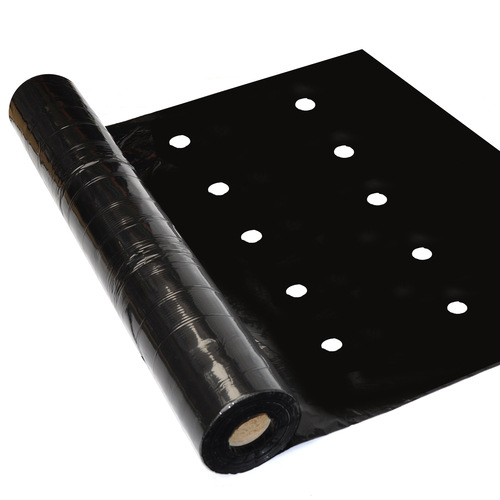 Folia ściółkująca UV1 30um sałata  1,6x500m z otworami