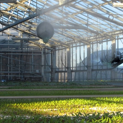 Kompletny nawilżacz dyskowy GEO FLY  powyżej 2,5m