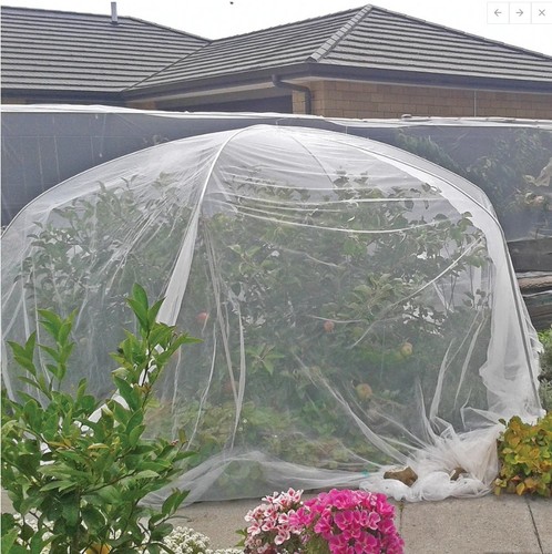 Siatka przeciw insektom GeoInsect 20  8,4m