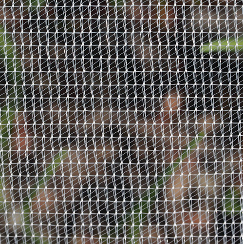 Siatka przeciw insektom GeoInsect 20  8,4m