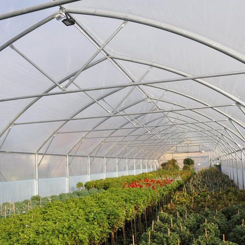 Greenhouse film UV12 EVO AC 7504 180um 12x33