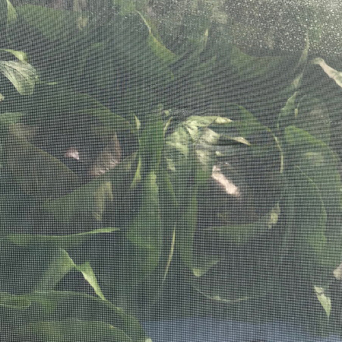 Siatka przeciw insektom GeoInsect 20  8,4x100m