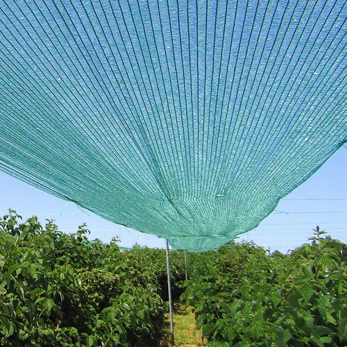 Siatka cieniująca GeoSol 60 zielona  6x100m