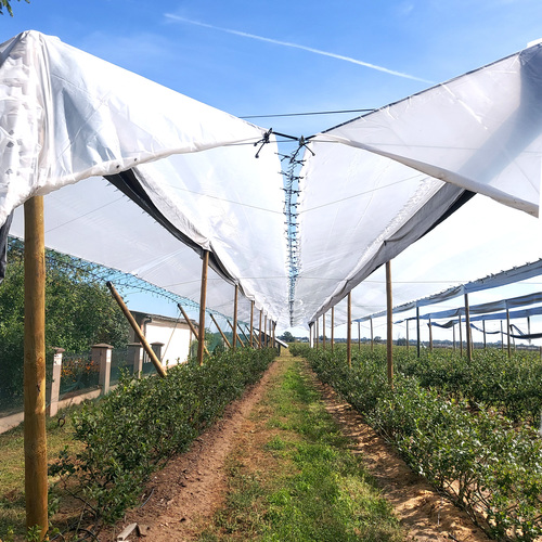 Folia przeciwdeszczowa Safe-D UV-Open L  3,4m 200um