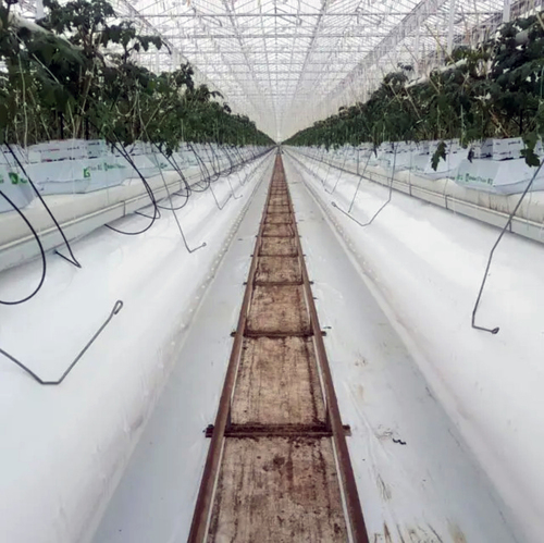 Rękaw dystrybucji powietrza Air-OP  180um średnica 33,5cm, otwory fi8mm co 20 cm