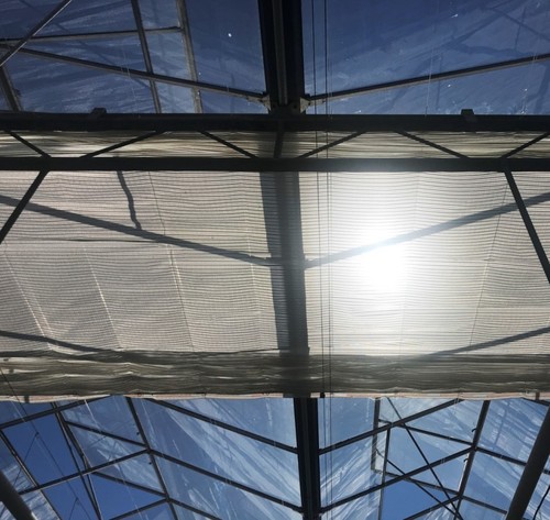Ridder Light Diffusion Screens closed flame retardant RLD30FR 2,15m