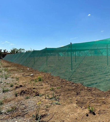 Siatka cieniująca GeoSol 30 zielona  5x100m
