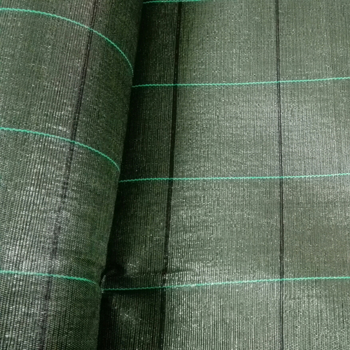 Agrotkanina GeoTerra 100g/m2 zielona  2,1m, 15x15