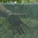 Siatka na płot GeoSol 90g/m2 Standard 1,8x100m