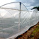 Siatka przeciw insektom GeoInsect L Vent 4x100m