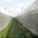 Siatka przeciw insektom GeoInsect S Vent 4,2x100m
