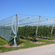 Siatka przeciwgradowa GeoAura 40 6x100m