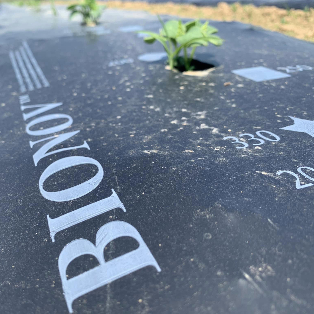 Folia ściółkująca biodegradowalna Bionov  15um 1,25x1500m