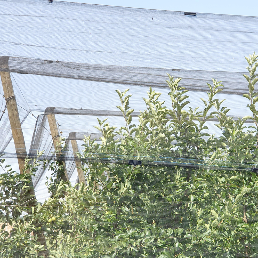 Siatka przeciwgradowa GeoAura 46  7,1x6,2mm 5x100m