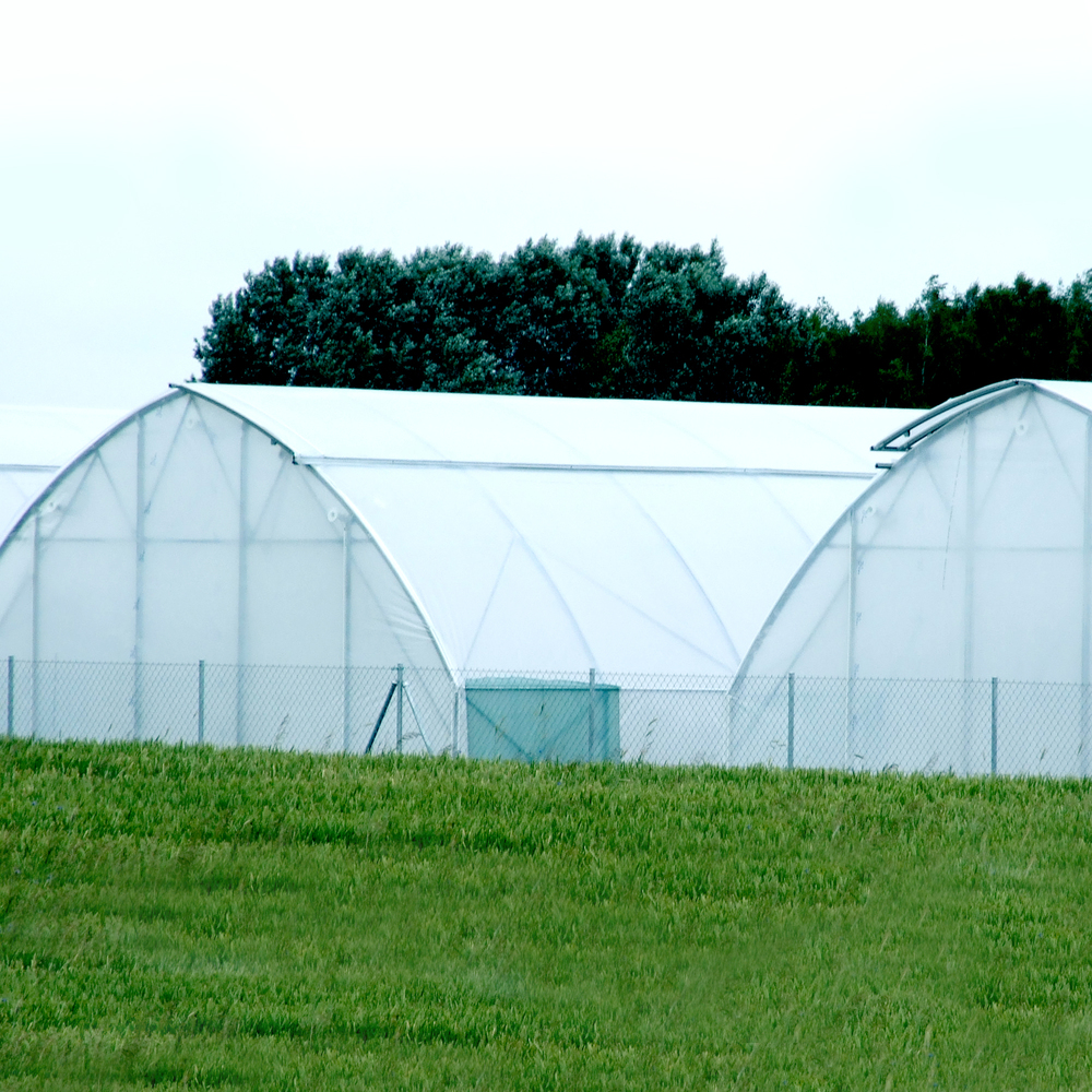 Folia szkółkarska UV12 Special Papiniere