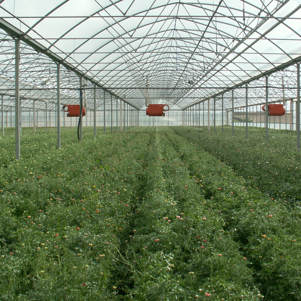 Greenhouse film UV8 Deltagri INC150um