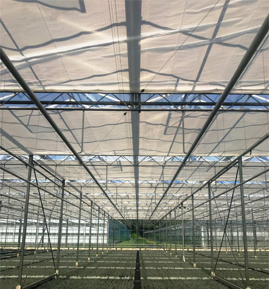 Ridder Light Diffusion Screens closed flame retardant RLD 60 FR 4,30m