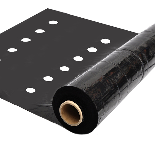 Folia ściółkująca UV1 30um sałata 1,6x500m z otworami