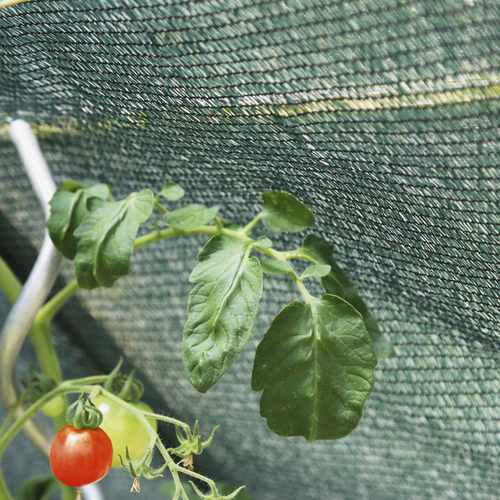 Siatka cieniująca GeoSol 45 zielona  1,5x100m