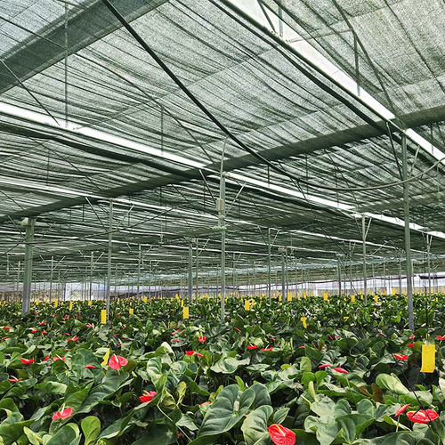 Siatka cieniująca GeoSol 70WB zielona  5x100m wzmocniony brzeg