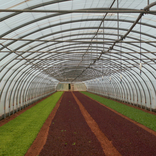 Greenhouse film Deltatex Trifilm 150um