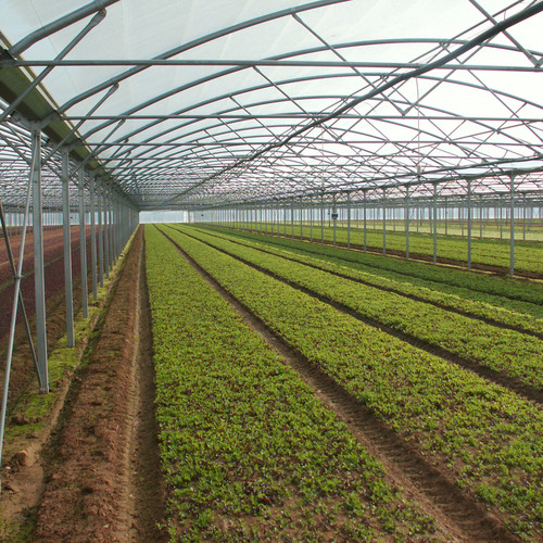 Greenhouse film UV8 Deltagri INC AD 150um