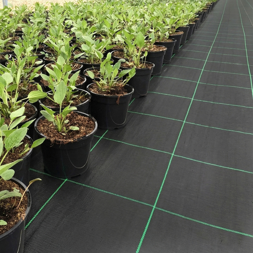 GeoTerra ground cover 140g/m2 4,2x100m black