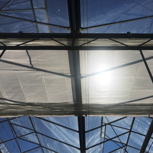 Ridder Light Diffusion Screens closed RLD 40