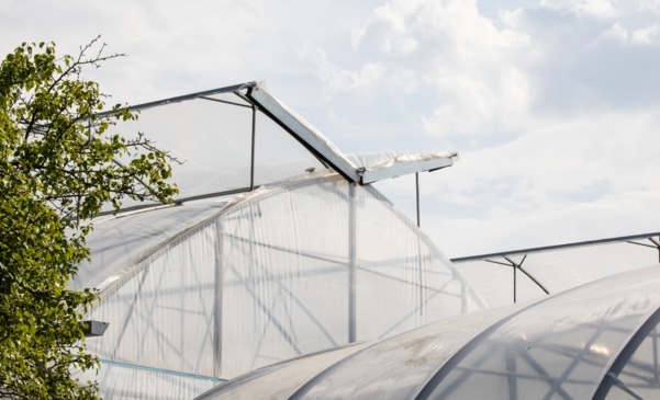 Jeśli napęd PRP do wietrznika kalenicowego, to który?